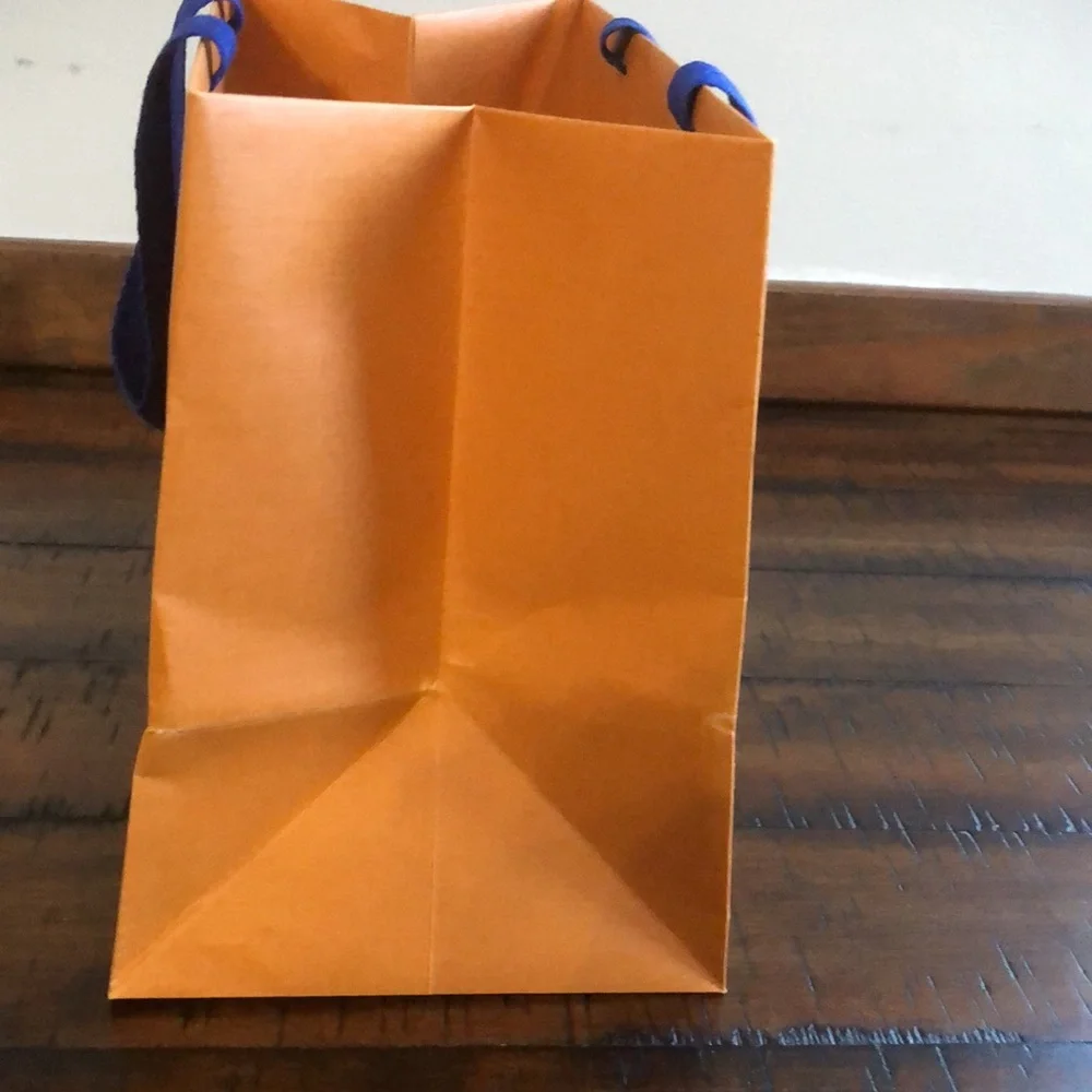 Louis Vuitton authentic louis